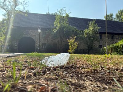 BZUK_Cleanup Day