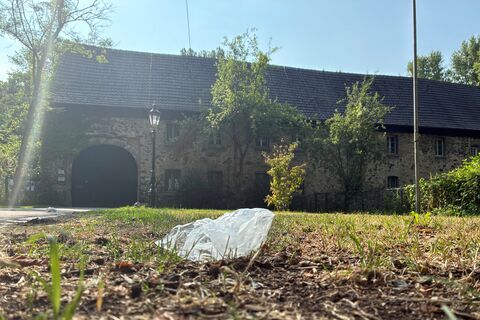 BZUK_Cleanup Day