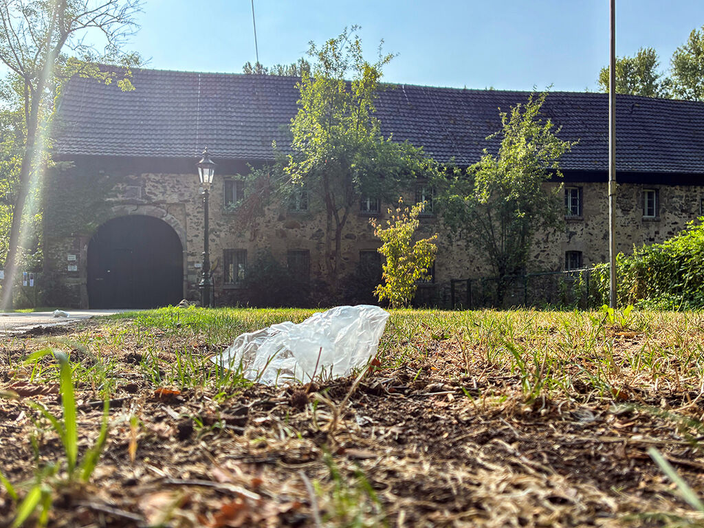 World Cleanup Day rund um die Wasserburg Haus Graven. 